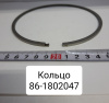 Кольцо Кольцо